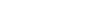 NerveIQ Logo White